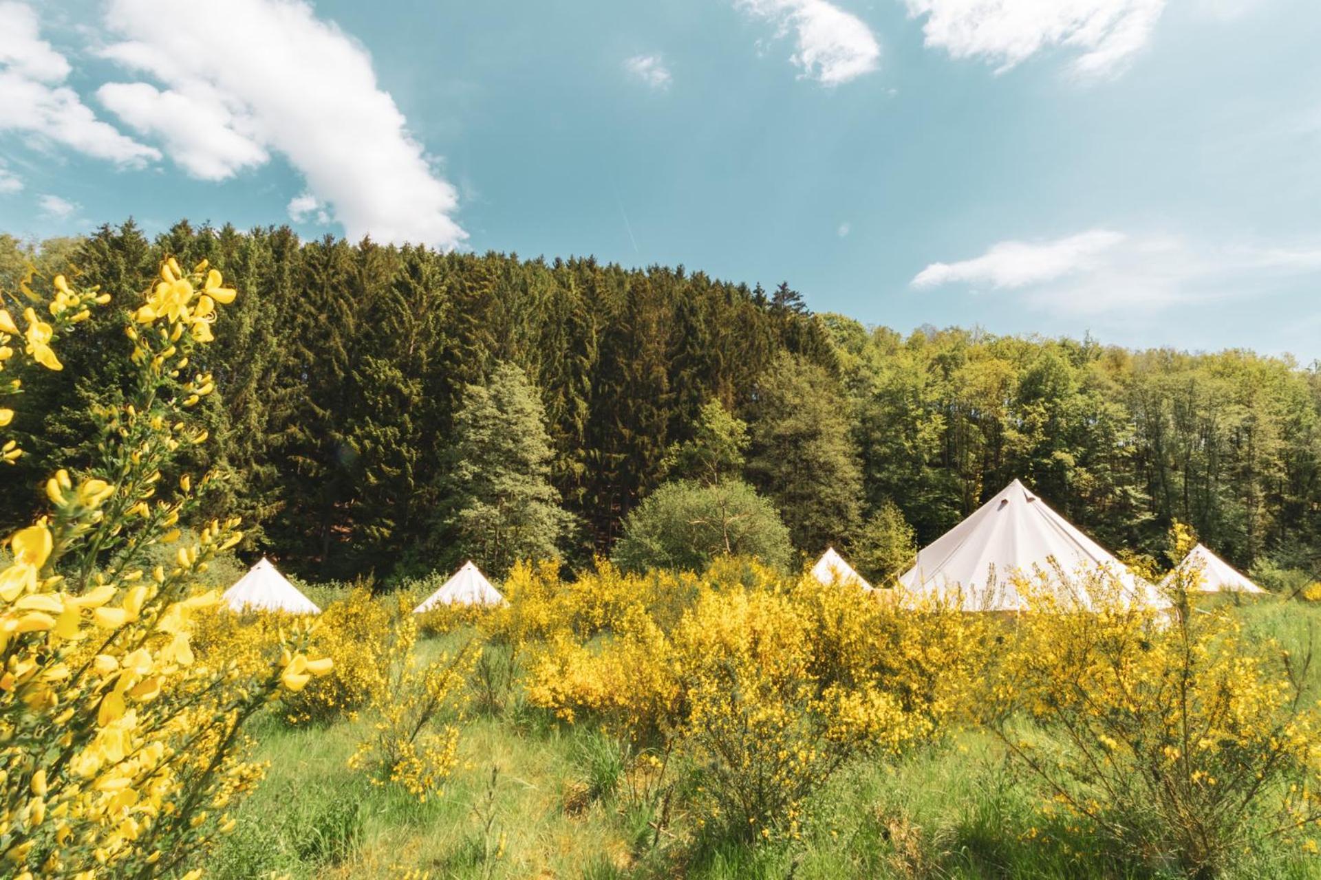 Daft Hotel & Glamping Malmedy Bagian luar foto