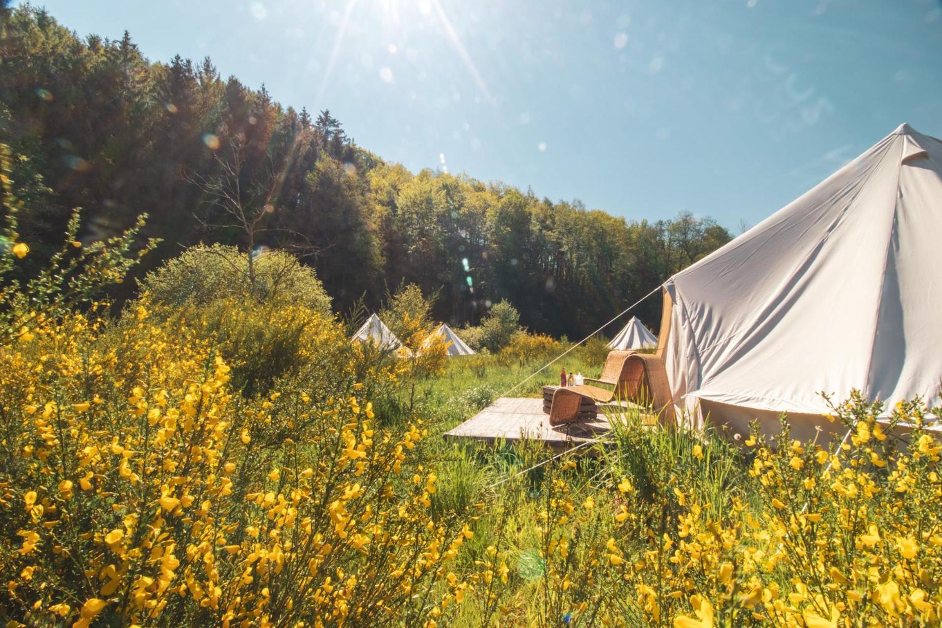 Daft Hotel & Glamping Malmedy Bagian luar foto